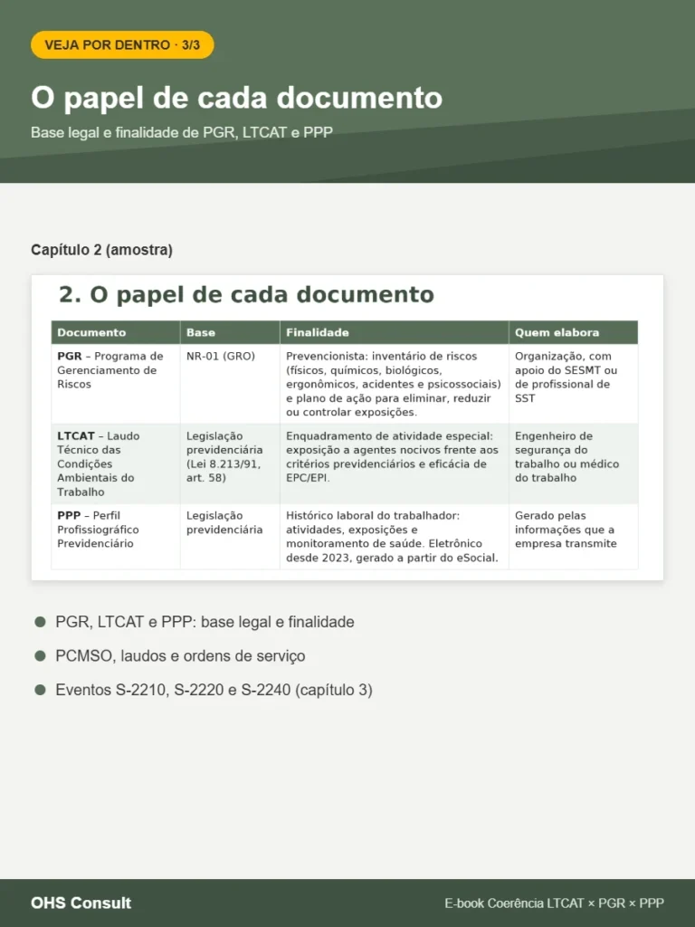Prévia: O papel de cada documento – E-book Coerência LTCAT x PGR x PPP